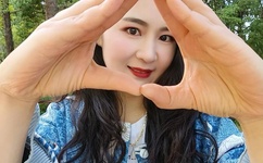 不用播放器的h网